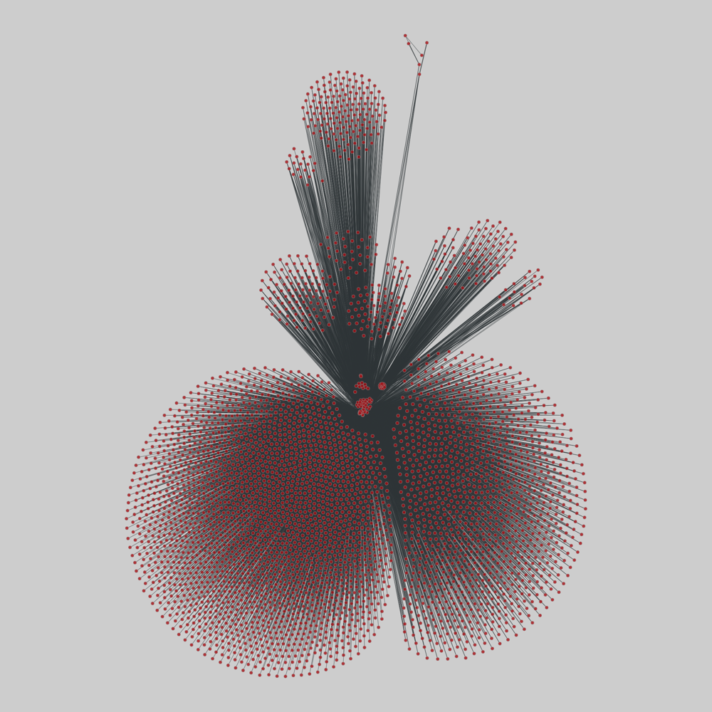 shn drawing