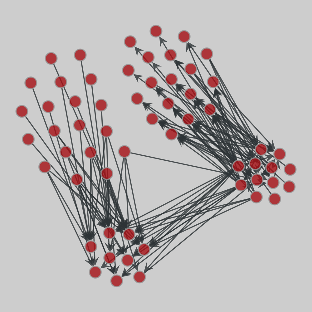 food_web_thompson_Coweeta1 drawing