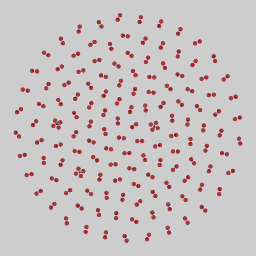 RMBL_pollination_2015_week12_shady_point drawing
