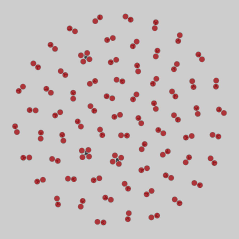 RMBL_pollination_2015_week14_shady_point drawing