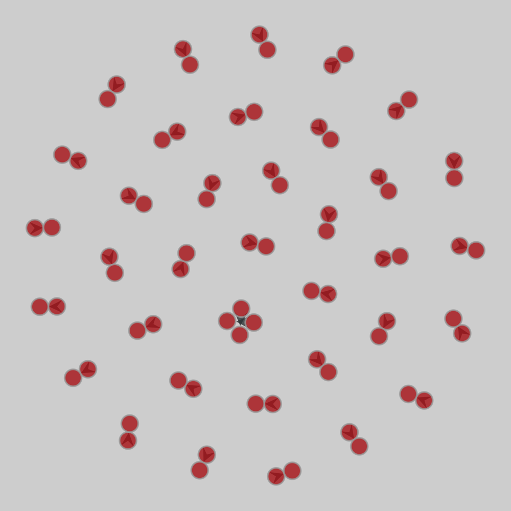 RMBL_pollination_2015_week1_twin_meadows drawing