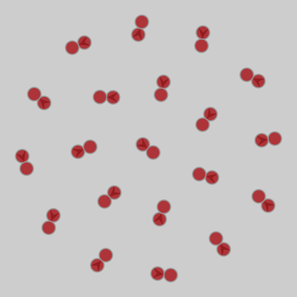 RMBL_pollination_2015_week2_twin_meadows drawing