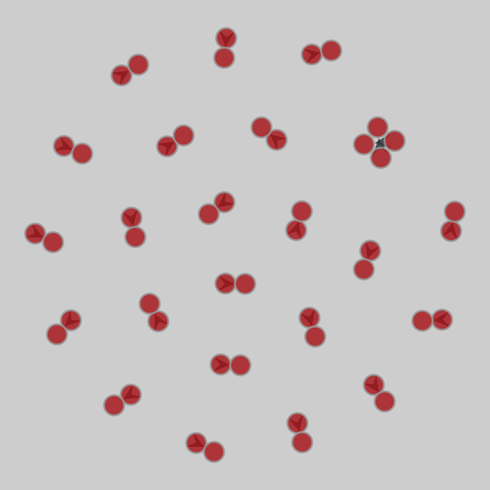 RMBL_pollination_2015_week3_twin_meadows drawing
