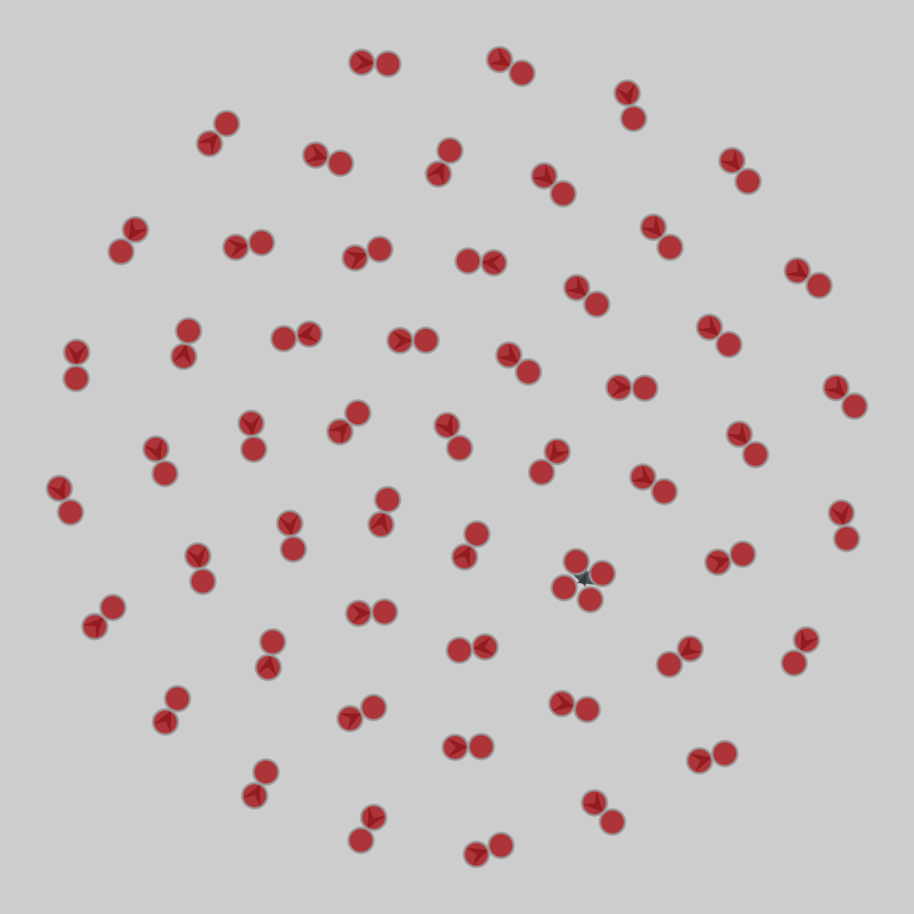RMBL_pollination_2015_week4_twin_meadows drawing