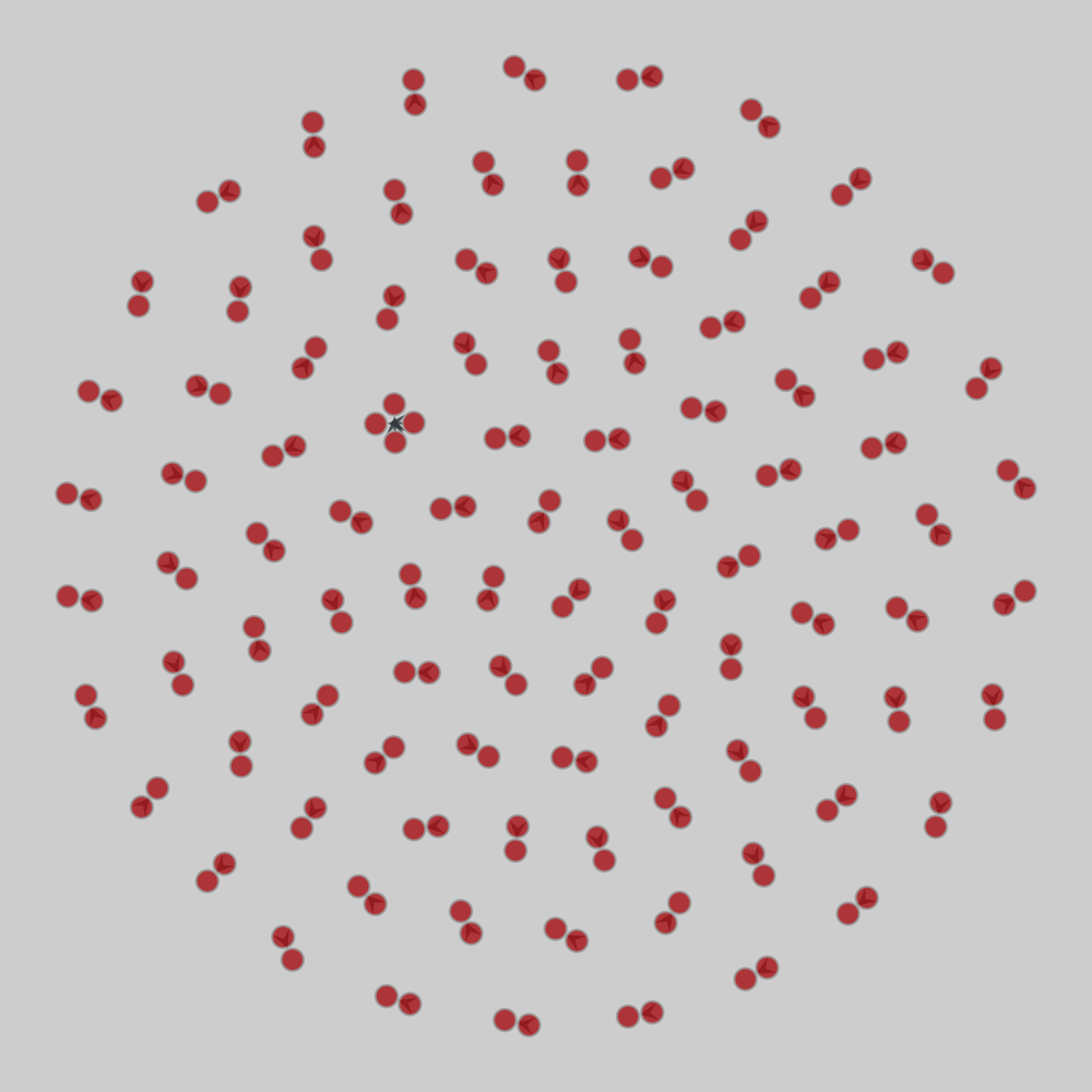 RMBL_pollination_2015_week5_shady_point drawing