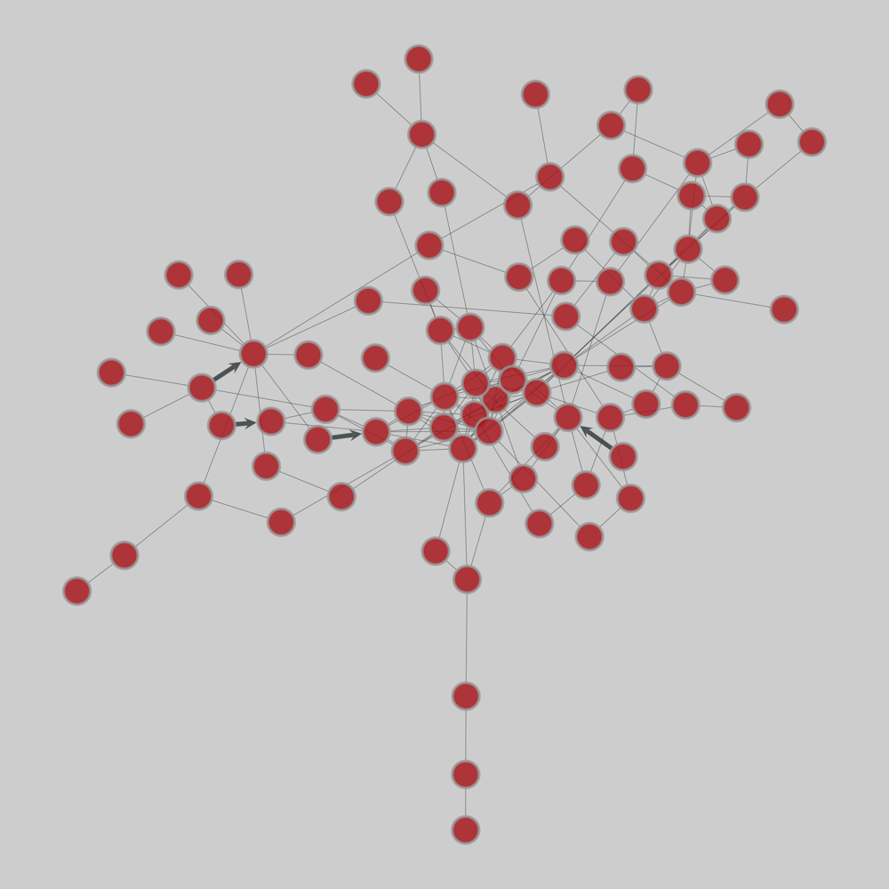 case89pegase drawing